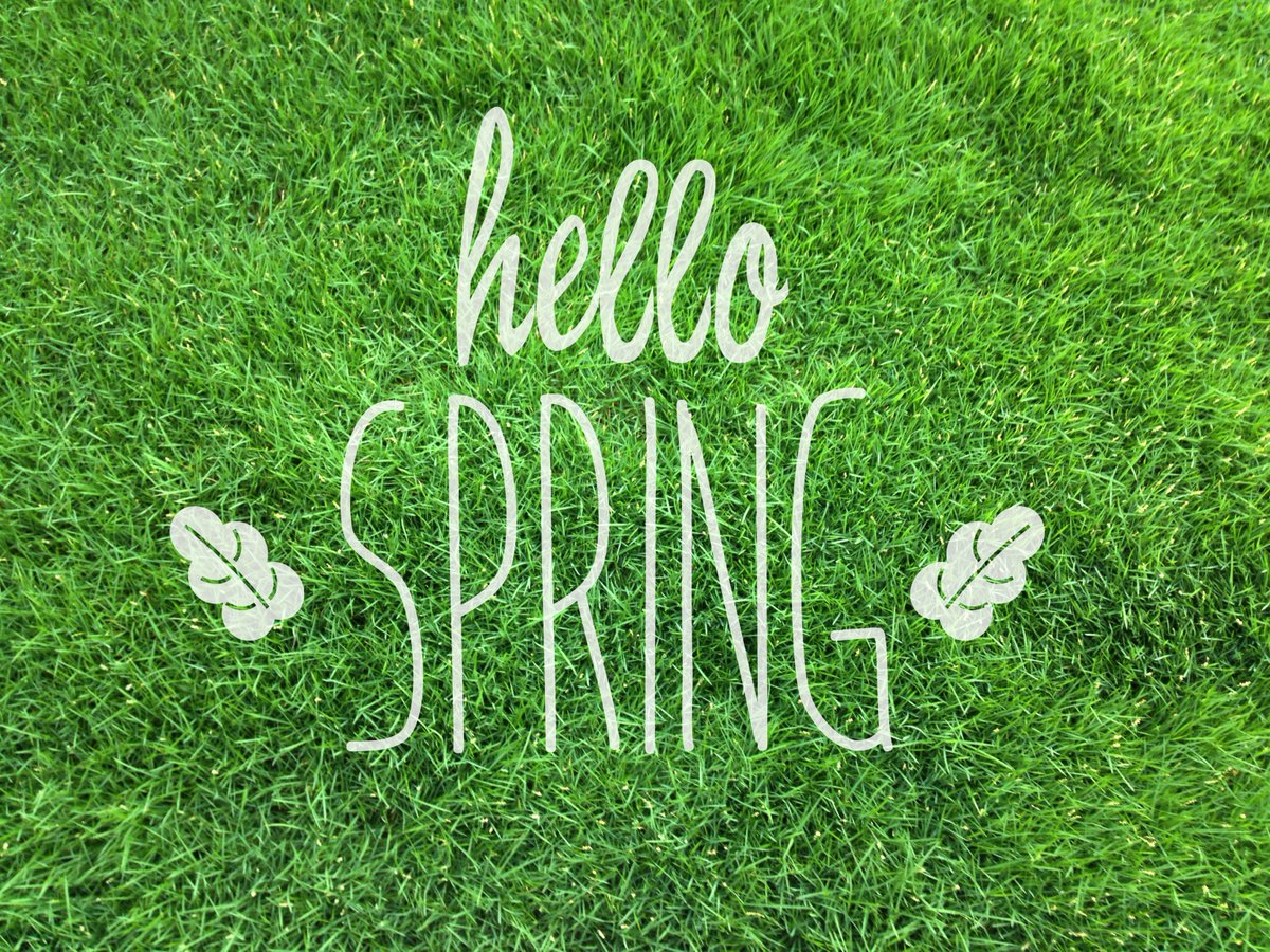 hello spring