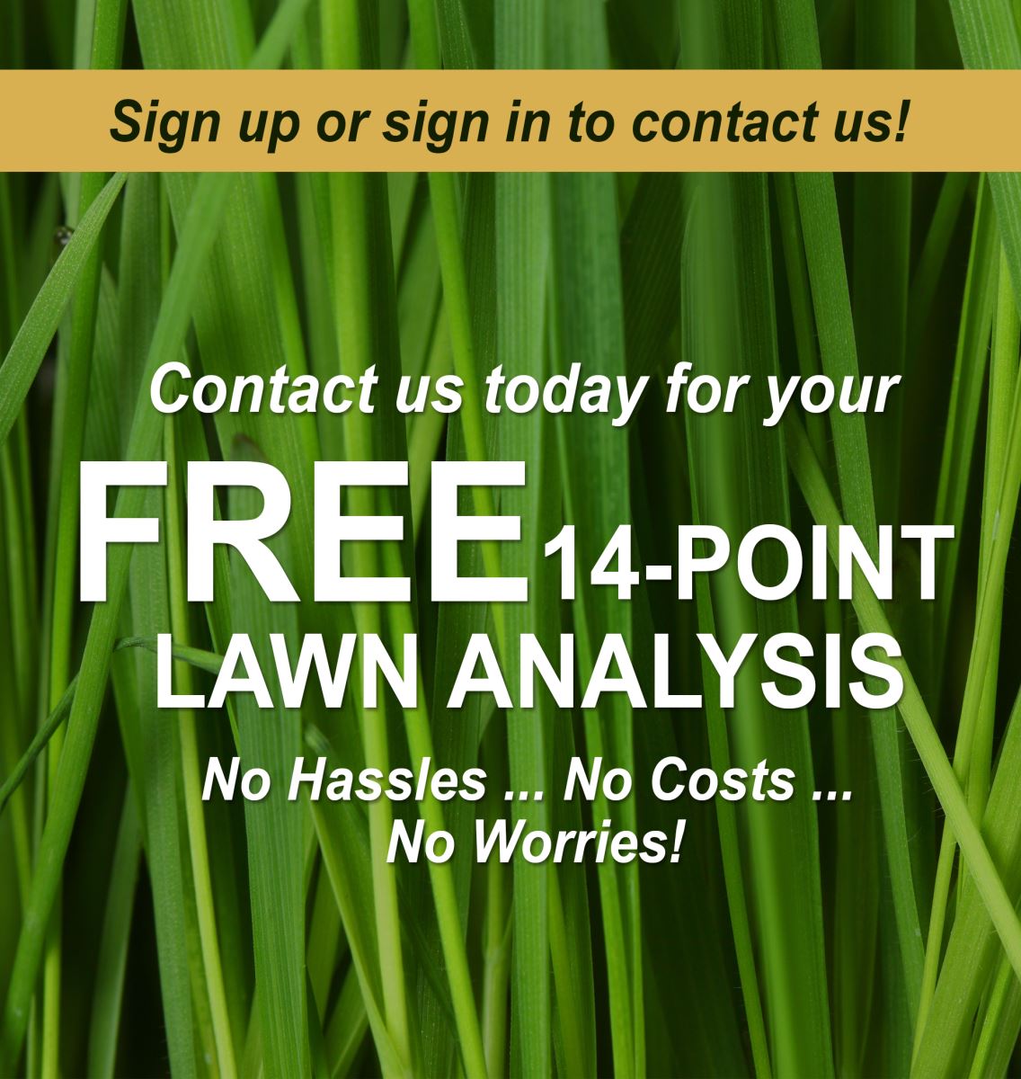 Free Lawn Analysis & We're Hiring
