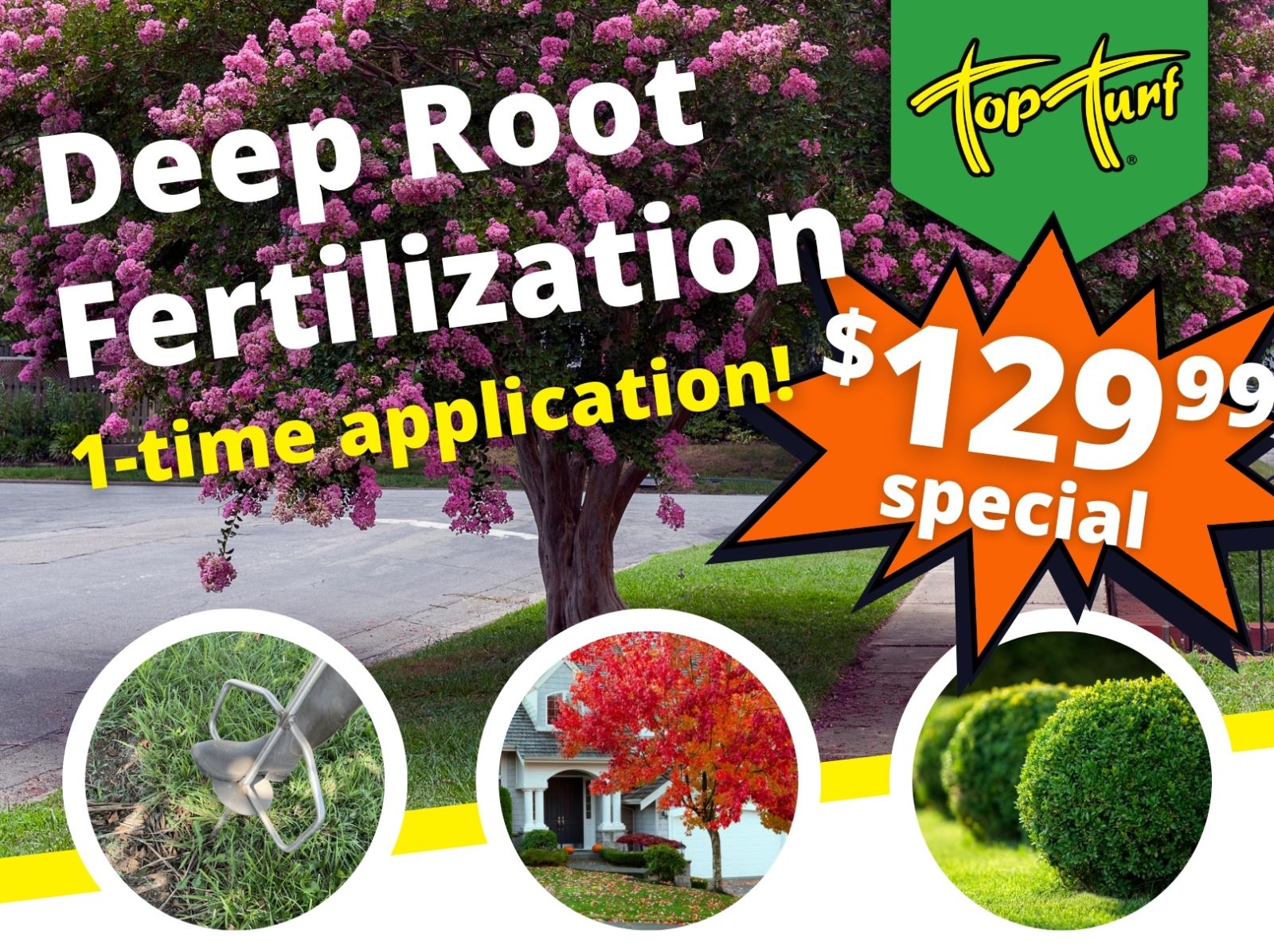 Deep Root Fertilization Special